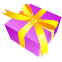 gift,present icon