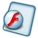 flash,file icon
