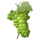 grape icon