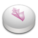 adobe,bridge icon