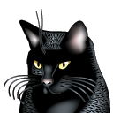 black,cat,animal icon