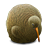 kiwibird icon