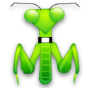 mantis,bug,insect,animal icon