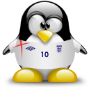 england,penguin,animal icon