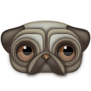 pug,animal icon