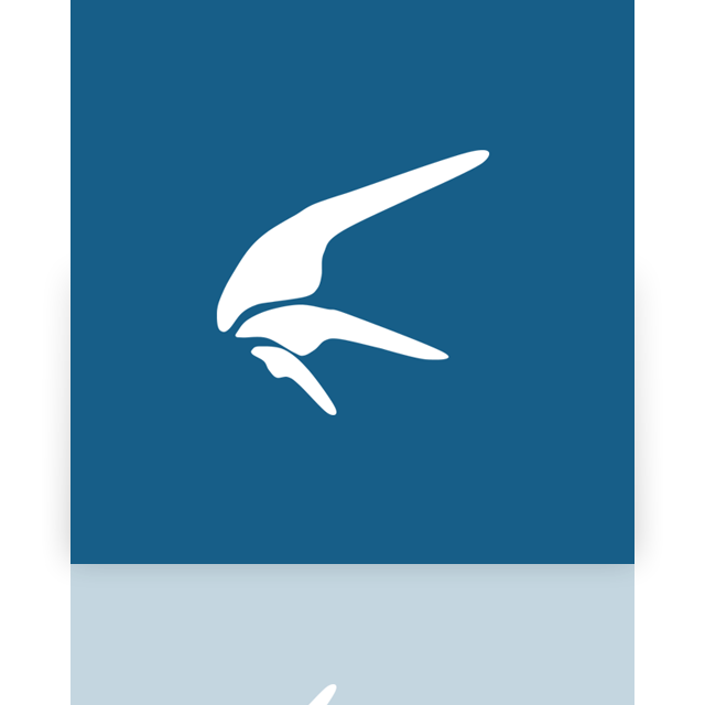 xunlei,mirror icon