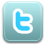 twitter,social network,social,sn icon