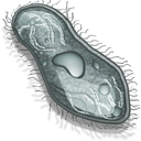 cell icon