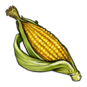 fruit,vegetable icon