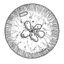 copy, osmos icon