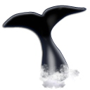 watching, whale icon