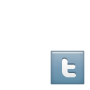 twitter icon