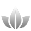 25 W icon