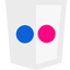 flickr icon