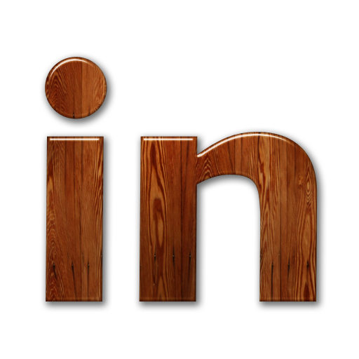 linkedin,logo icon