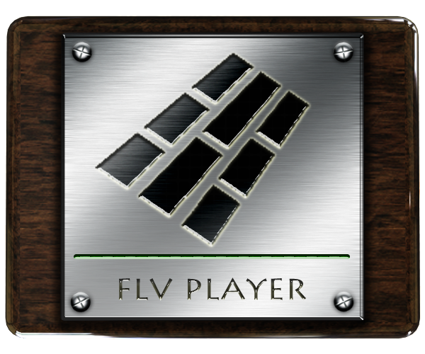 flv,player icon