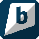 brightkite svg vector icon