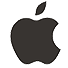 apple icon