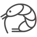 animal, beach, food, ocean, sea, shrimp, water svg vector icon
