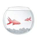 aqua,fish,goldfish,animal icon