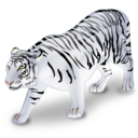 animal, tiger, white icon