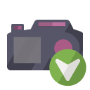 camera,down icon