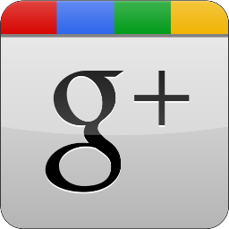 googleplus,grey,gloss icon
