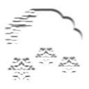 43 icon