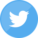 social media, twitter, website icon