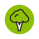 broccoli, fruit, green, healthy, vegetable svg vector icon