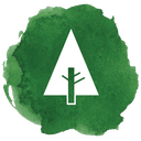 forrest, forrst, newtork, social, tree icon