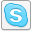 skype icon