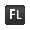 flash icon