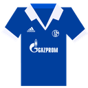 schalke icon
