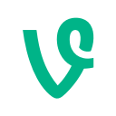 social, vine, web svg vector icon