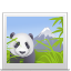 photo icon
