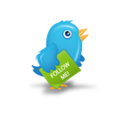 bird, twitter icon