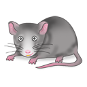 ichoo icon