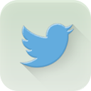 twitter icon
