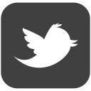 bird, connect, follow, follower, social, social media, tweet, twitter svg vector icon