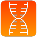 dna, scientific, structure svg vector icon