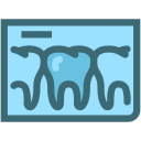 dental, dental records, dentist, dentistry, tooth, tooth x ray, x rays svg vector icon