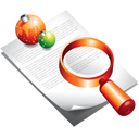 christmas, document, find, search icon