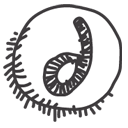 dreamweaver icon