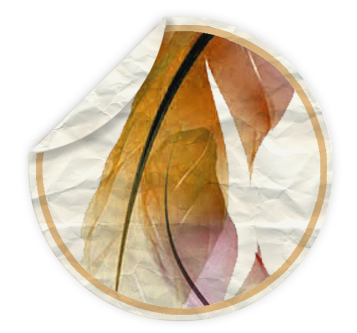 ir icon
