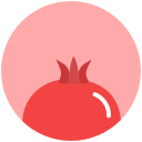 food, health, mythology, pomegranate svg vector icon