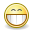 face, grin icon
