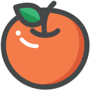 food, fruit, orange, organic, vegan, vegetarian svg vector icon