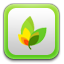 rule icon