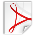 application,pdf icon